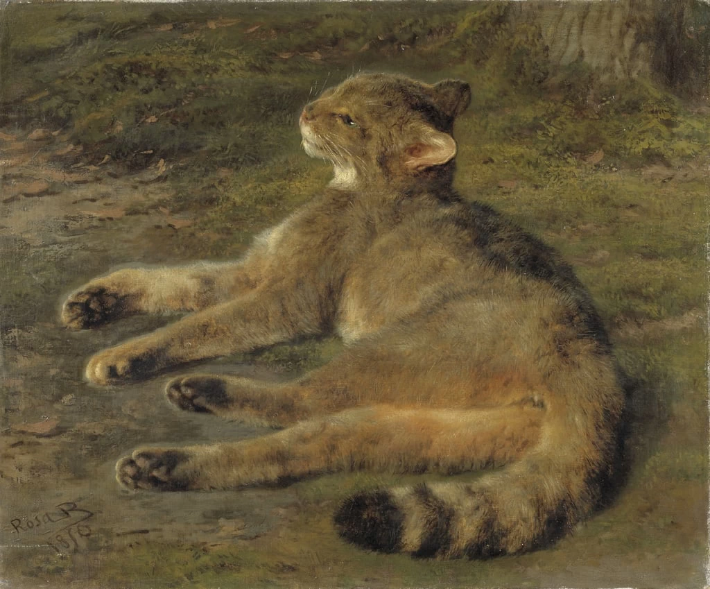 Gatto selvatico, 1850 - Nationalmuseum, Stockholm